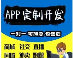 APP开发，系统开发